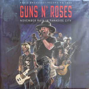 GUNS N ROSES - November rain in Paradise city